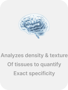 Density-texture analysis 1